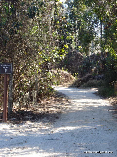 Exercise Trail